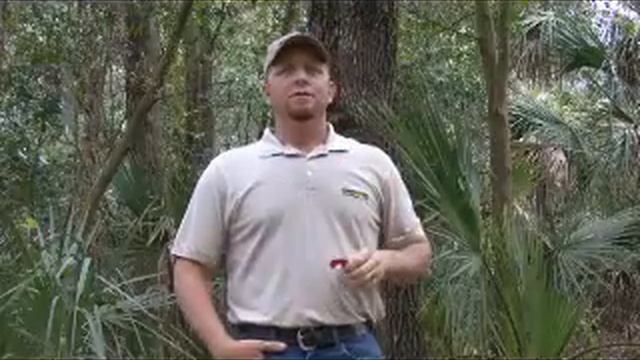 Turkey Call Instruction-Mouth Call Magic trailer with Scott Ellis смотреть онлайн