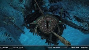 Skyrim Anniversary Edition ТОП 10 НОВЫХ МОДОВ