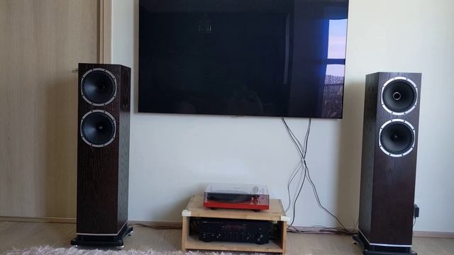 Fyne Audio F502 (queens Of The Stoneage)