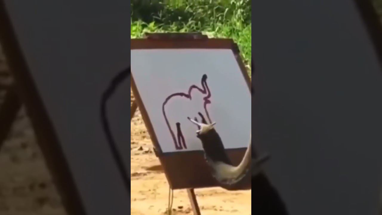 Про слонов смотреть онлайн