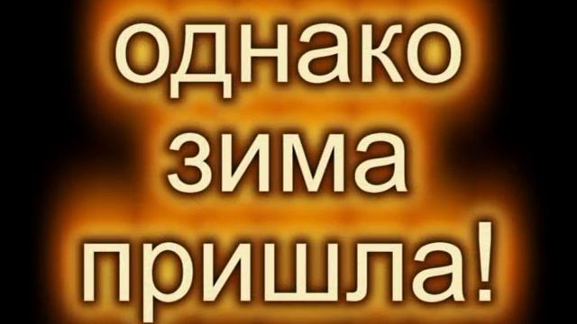 Дом 8х8м из строганого бруса 200х200 смотреть онлайн