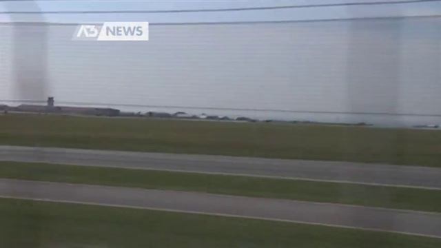 "ERO CURIOSO DI VEDERE LA BASE DI AVIANO" смотреть онлайн