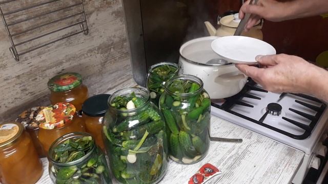 Самый быстрый способ засолки огурцов на зиму.Огурцы получаются крепкие, ароматные, хрустящие. смотреть онлайн