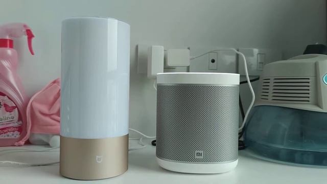 Mi Smart Speaker Open Music