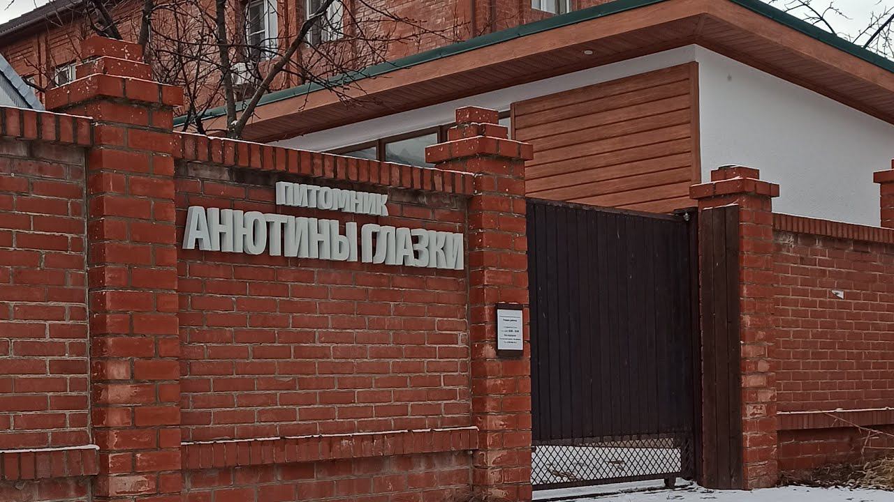Большой обзор 14 января 2022! Что растёт? смотреть онлайн