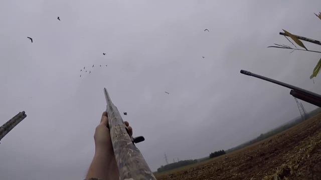 Охоты на гуся сезон 2018 смотреть онлайн