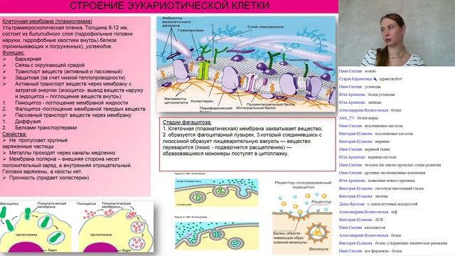 Занятие #1. Cтроение клетки часть 1.