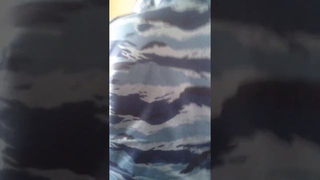 Будни ФСО на севере)))) смотреть онлайн