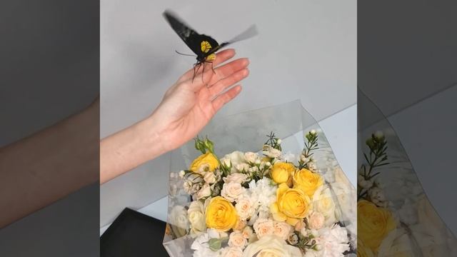 Букет с бабочкой. смотреть онлайн