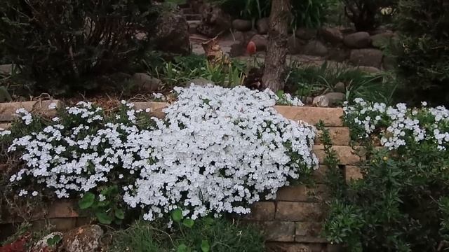 МАЙ В САДУ-2023 год-2-я ЧАСТЬ смотреть онлайн