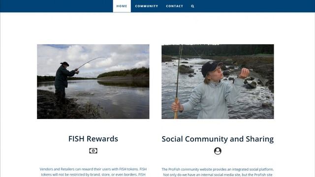 Обзор Ico проекта ProFish смотреть онлайн