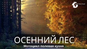 Отдых в лесу, поход в лес, на природе, мотопоездка в лес, путешествие 2025, путешествие бесплатное