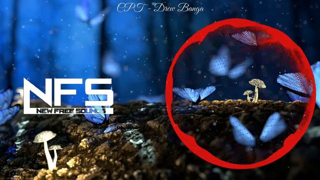 CPT-Drew Banga (NFS Music Release 2021)