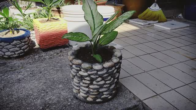 Цветочный горшок из цемента и гальки смотреть онлайн