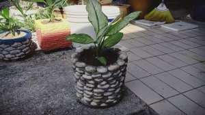 Цветочный горшок из цемента и гальки