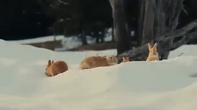 La Première Etoile - Bande annonce смотреть онлайн