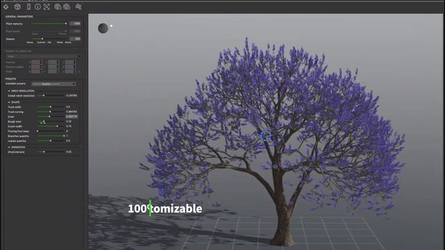 PlantCatalog: 3D Blue jacaranda - Jacaranda mimosifolia - procedural 3D vegetation смотреть онлайн