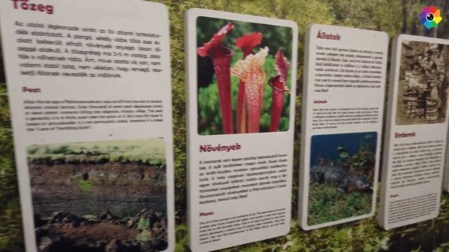 Budapest Zoo And Botanical Garden (2021)