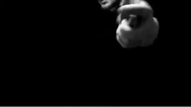 Bicycle guardians Playing Cards.mp4 смотреть онлайн