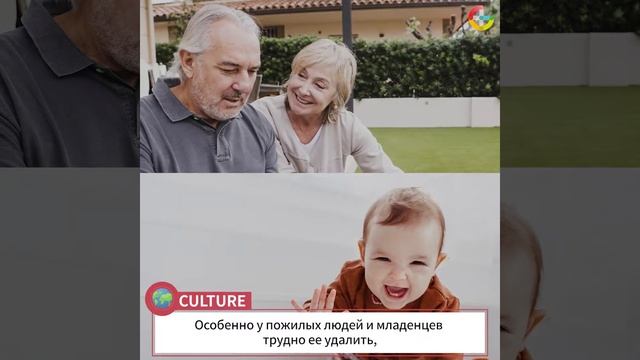 Постоянно копится ушная сера, что будет, если мы будем часто чистить уши? смотреть онлайн