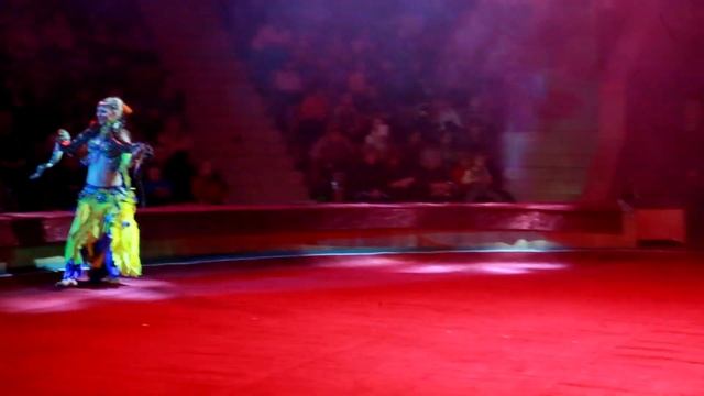 Курский Цирк"ДЖЕМЕЛЛИ" 2.02.2018г номер с ПИТОНАМИ " (начало) смотреть онлайн