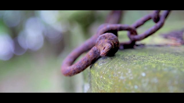 Canon 6d Mark Ii Video Test