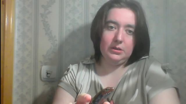 Такие разные сцинки смотреть онлайн