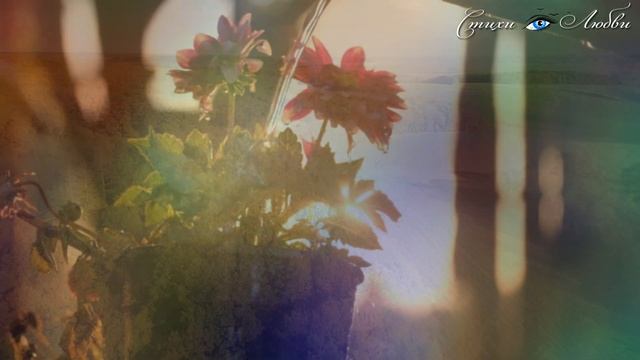 ? Скажите, Вы когда-нибудь любили? Люся Моренцова ? || Канал Стихи о Любви смотреть онлайн