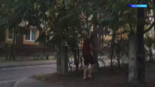 Светлогорск смотреть онлайн