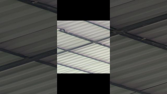 1000032557.mp4 смотреть онлайн