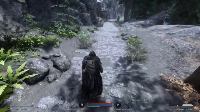 Wildlander Conjurer Part 3 смотреть онлайн