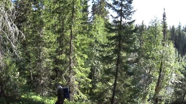 Поход до избы моего отца. Деревня Шегмас. 30.07.2018[FullHD] смотреть онлайн