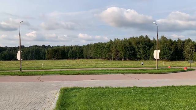 Лето в музее-заповеднике «Горки Ленинские» смотреть онлайн