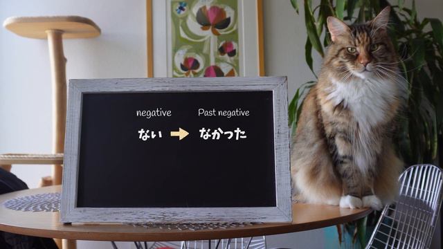 Save Time⏱️By Doing These - Simple Adjectives (Pt. 2) смотреть онлайн