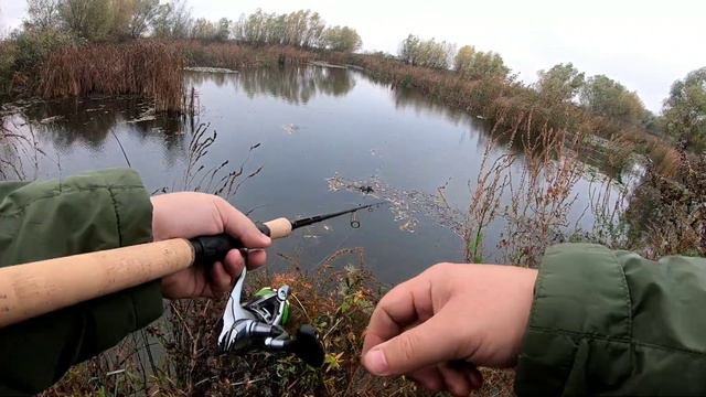 Активная щука на нестандартные приманки Вилково Дунай село Лески остров Ермаков смотреть онлайн