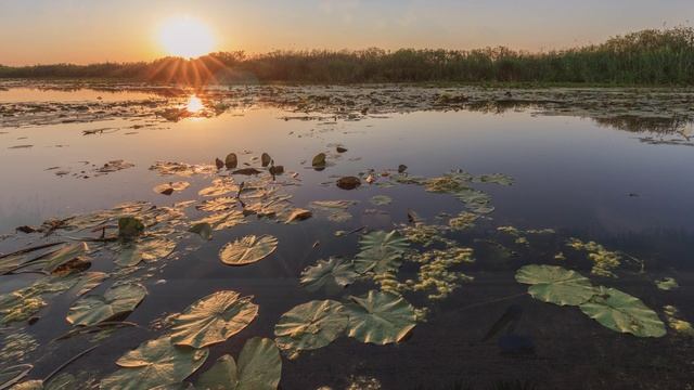 strauss the beautiful blue Danube смотреть онлайн