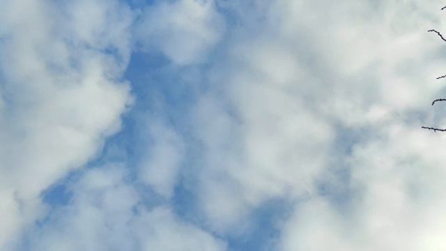 Чем нельзя жертвовать даже ради любви? смотреть онлайн