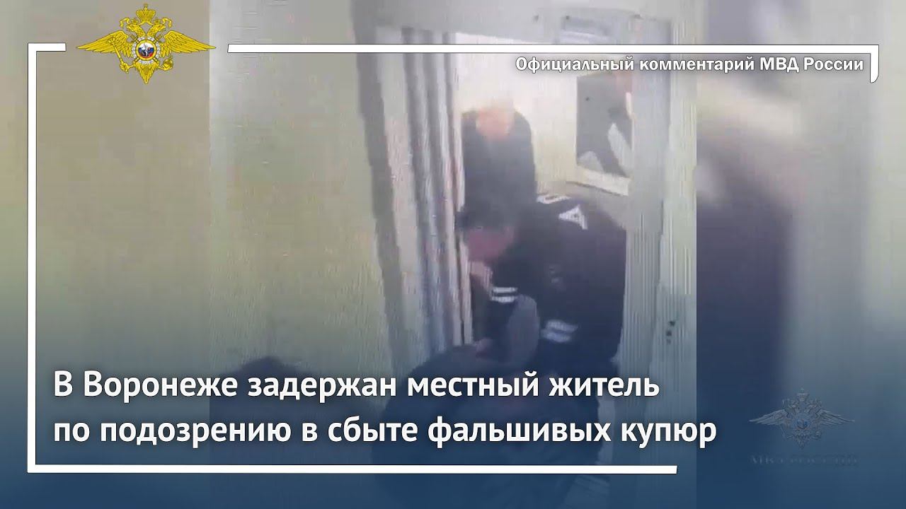Ирина Волк: В Воронеже полицейские задержали местного жителя по подозрению в сбыте фальшивых купюр смотреть онлайн