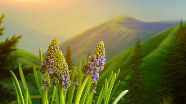 Невероятно Нежная и Божественная Музыка, трогает до глубины Души, до слез! Сборник красивой музыки смотреть онлайн