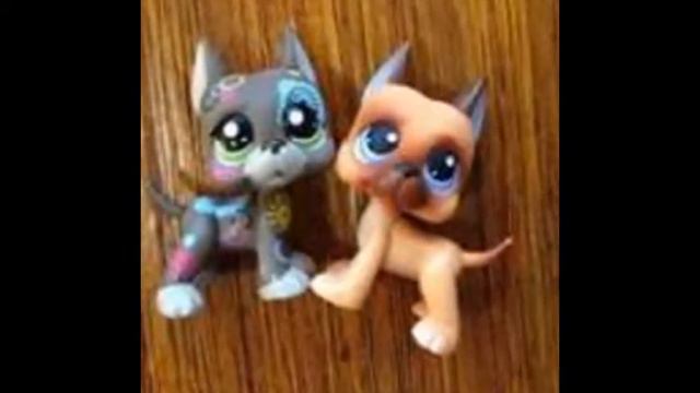 lps Torn 30 sec prev смотреть онлайн