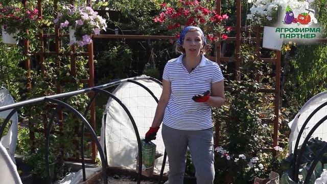 ОСЕННЯЯ ПОДГОТОВКА ПОЧВЫ смотреть онлайн