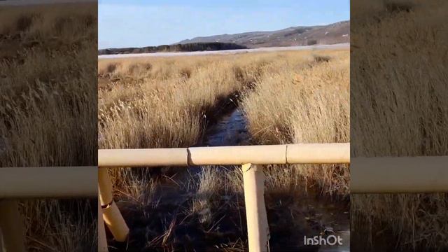 Озеро Графское вода уходит ,администрация примите меры . смотреть онлайн