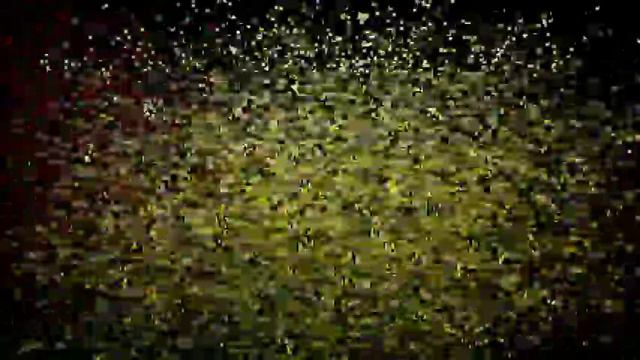 Helmut Zacharias with the Westfälischen Nachtigallen (Germany) - Weihnachtstraum смотреть онлайн