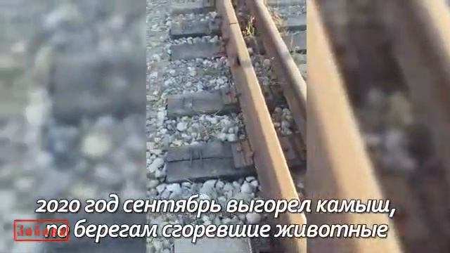 Маныч / Протока под ж. д. мостом / Что с ней стало смотреть онлайн