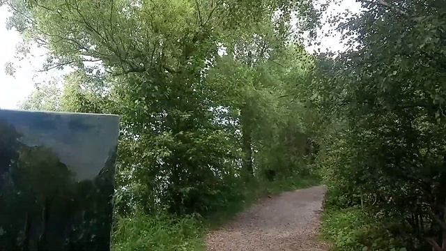 На берегу Плещеева озера в городе Переславль. Картина, живопись маслом. Художник Смотрин Андрей смотреть онлайн