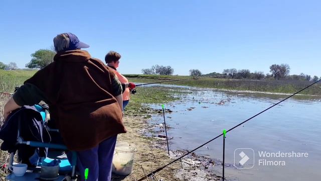 17.04.23 г. В поисках воблы. смотреть онлайн