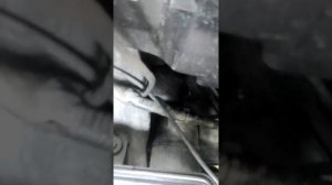 Замена лампы ДХО на "Hyundai Creta" без съема колеса и подкрылка.