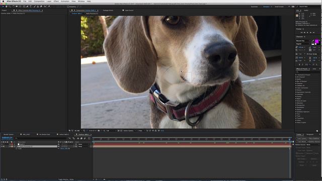 How to create a Dolly Zoom Vertigo Effect with an iPhone | After Effects CC 2017 Tutorial смотреть онлайн