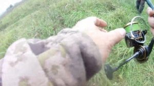 Дайва калдия или Шимано страдик?