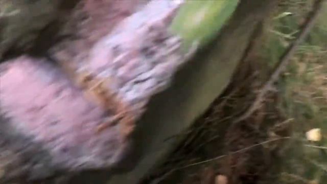 НАШЛИ БУМАЖКУ СО СМАЙЛИКАМИ! смотреть онлайн